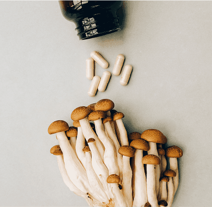 FOCUS en poudre pour préparation