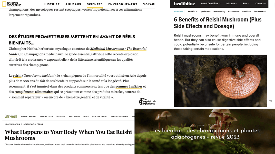 Études scientifiques sur les champignons adaptogènes